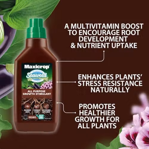 Maxicrop Organic Seaweed Plant Growth Stimulant and Tonic, 500ml – 4