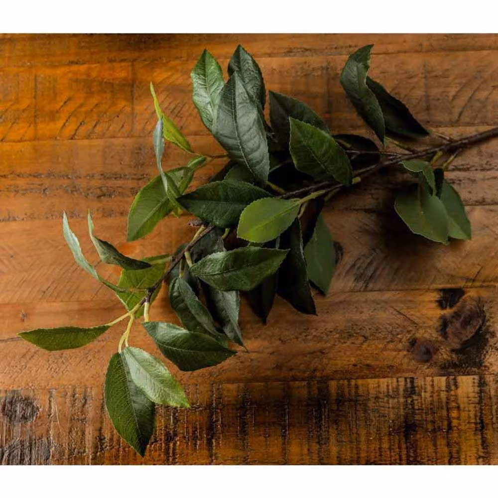 Lemon Pavilion Green Laurel Leaf Artificial Plant Spray, H60 x W8 x D8 cm – 2