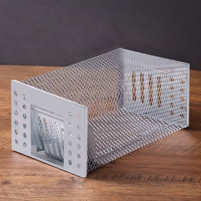Livingandhome Humane Mouse Trap in Silver