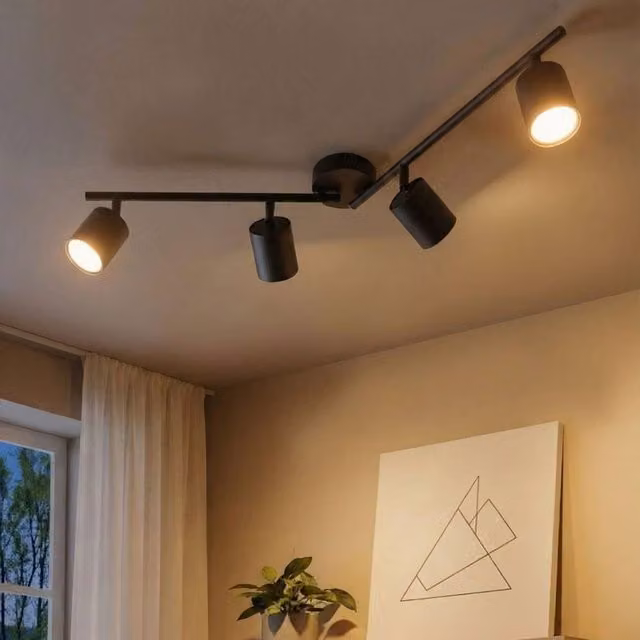 Wyld and Coco Four-Light Matte Black Industrial Metal Spotlight Ceiling Lamp