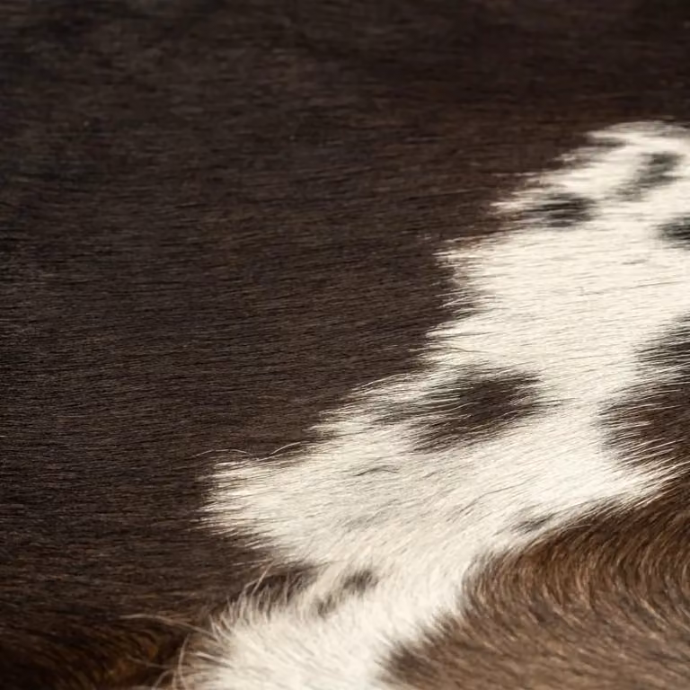 Berkfield Home Black Real Cowhide Rug, W: 180 cm, D: 220 cm