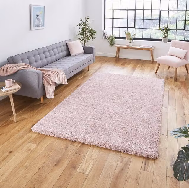 Terrys Plain Modern Rectangular Shaggy Rug in Pink