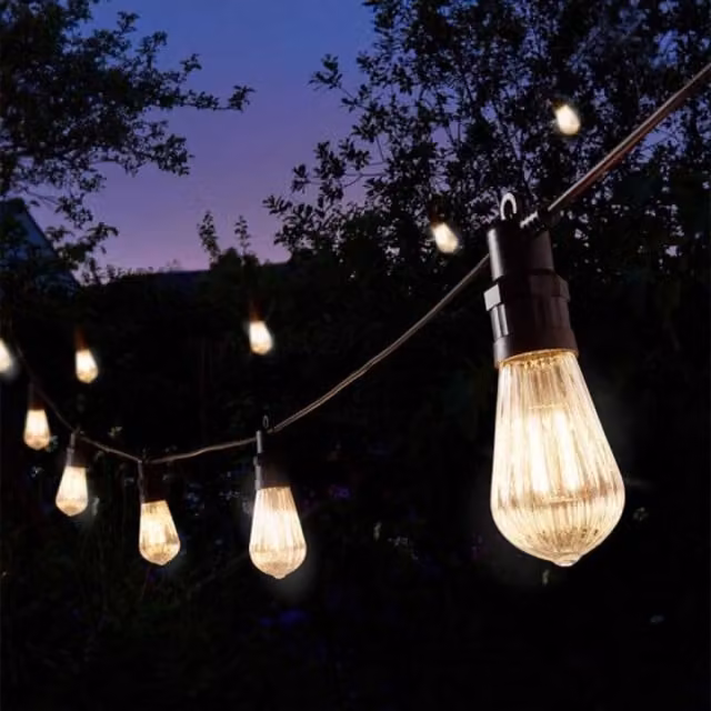 Samuel Alexander Connectable LED Festoon String Lights in Warm White