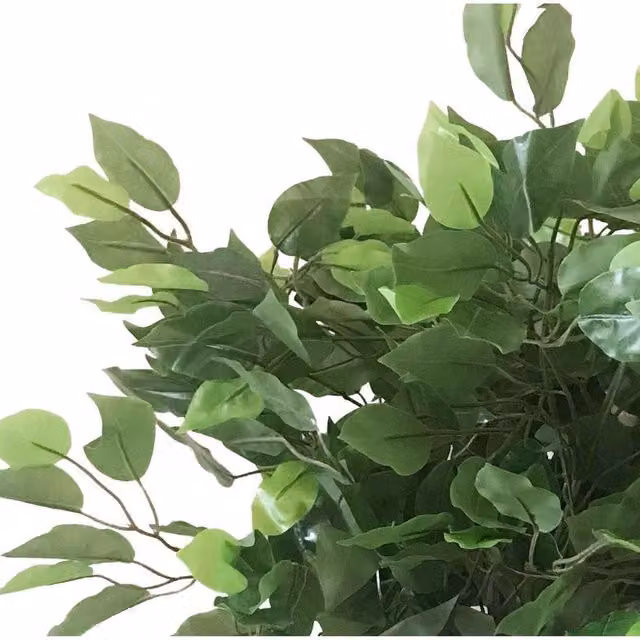 Leaf Realistic Natural Artificial Ficus Tree, Green, Height: 60 cm