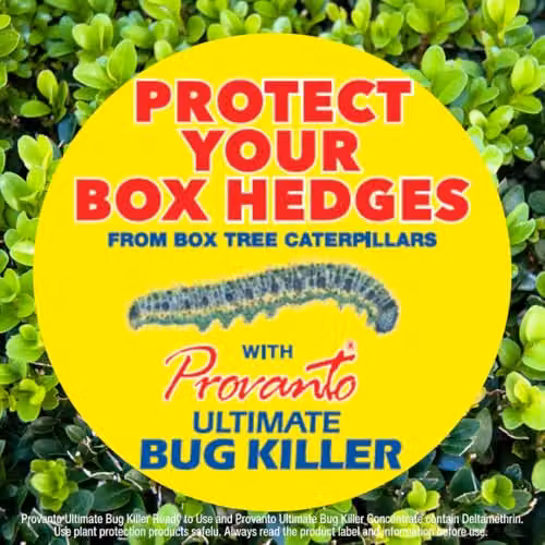 Provanto Ultimate Bug Killer Spray for Ornamental Gardens, 1 l – 3