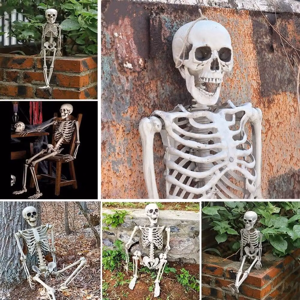 NESTLUNE Realistic White Full Body Human Skeleton Halloween Prop, Height: 157 cm – 2