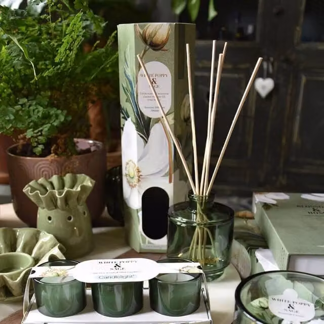 Madison & Mayfair White Poppy & Sage Reed Diffuser in Green