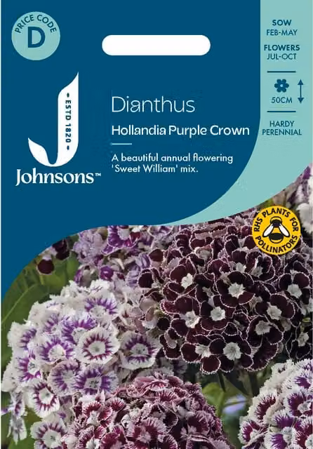 Johnsons Seeds Dianthus Hollandia Purple Crown Flower Seeds