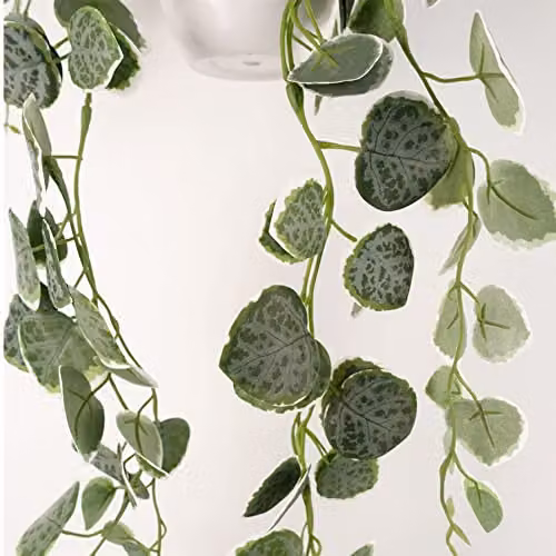 Leaf String of Hearts Artificial Hanging Green Plant with White Pot, Height: 90 cm – 4