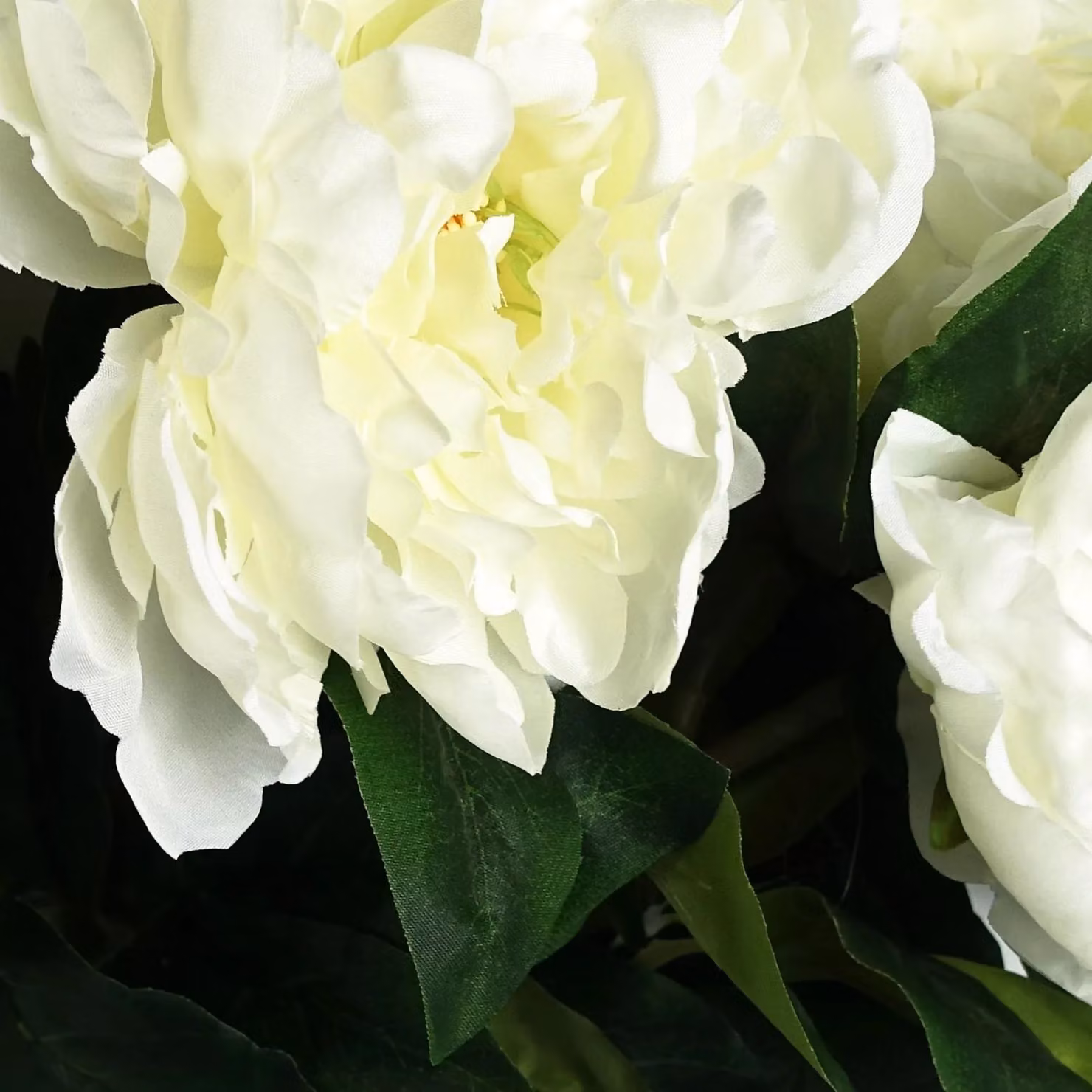 Leaf Artificial Cream Peony Stem in White and Beige, Height: 80 cm – 4