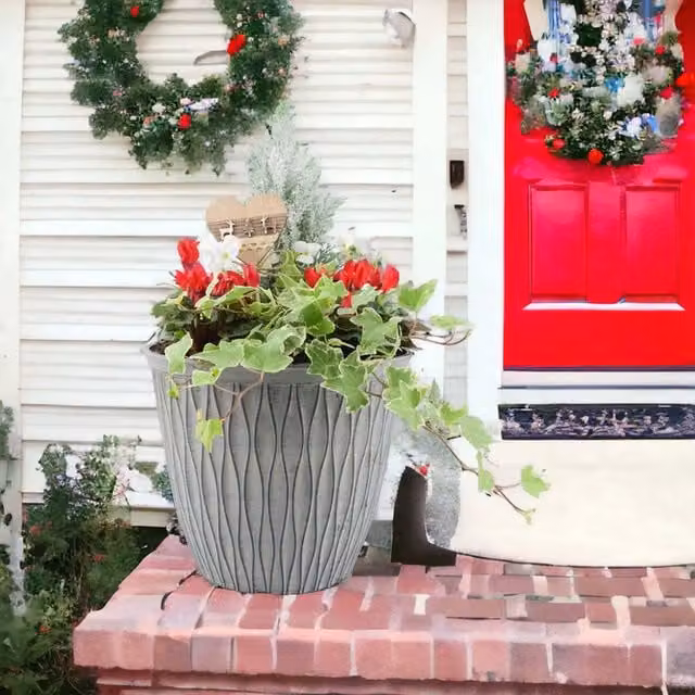 Plants By Post Winter Outdoor Planted Container with Grey Round Pot, Diameter: 26 cm