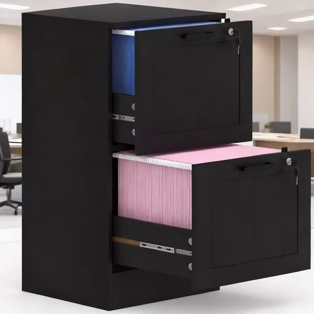 ERGOVEXA Lockable 2 Drawer Metal Filing Cabinet in Black