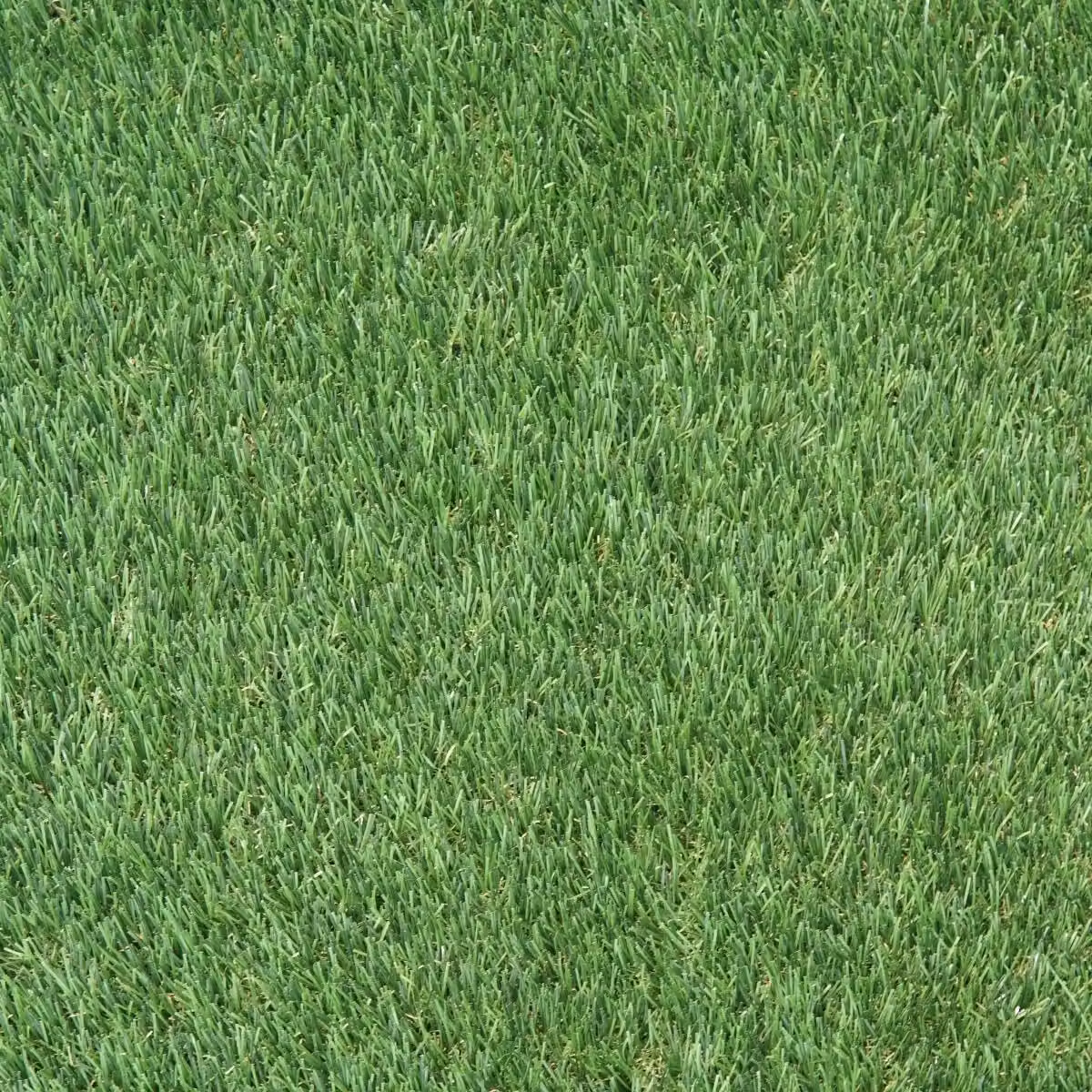 Artificial Grass GB Luxury Green 40mm Artificial Grass, W: 200 cm x L: 200 cm – 4