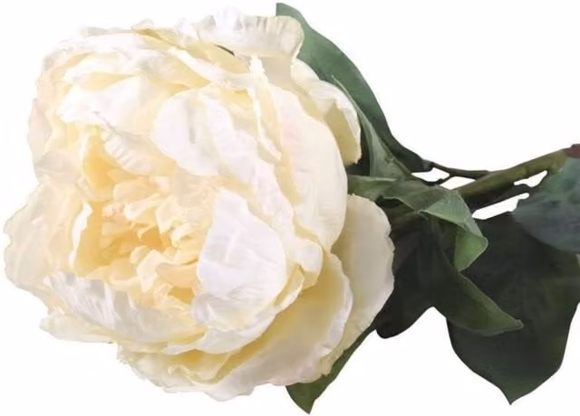 KDMD Single White Peony Artificial Textile Flowers, Height: 71 cm – 1
