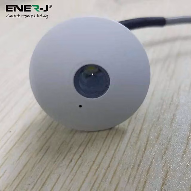 ENER-J 3W Emergency LED Recessed Downlight, White, IP20, 171 Lumens, Diameter: 25 cm, Height: 19 cm