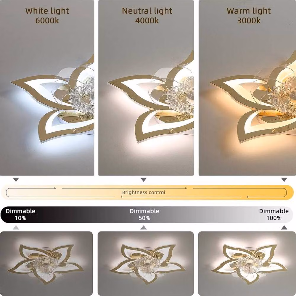 Garwarm Gold Caged Floral Invisible Flush Ceiling Fan and Lamp Set – 3