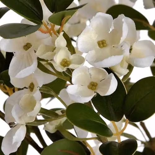Hill Interiors White Spring Mock Orange Artificial Floral Arrangement, W: 13 cm, D: 25 cm, H: 92 cm – 3