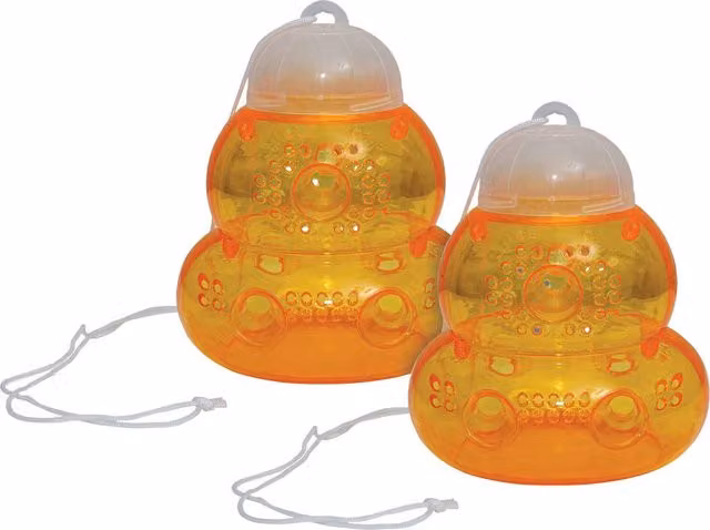 St Helens Home & Garden Non-Toxic Wasp & Hornet Trap, Pack of 2, Orange