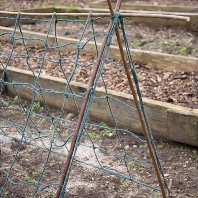 Primrose Green Jute Support Netting