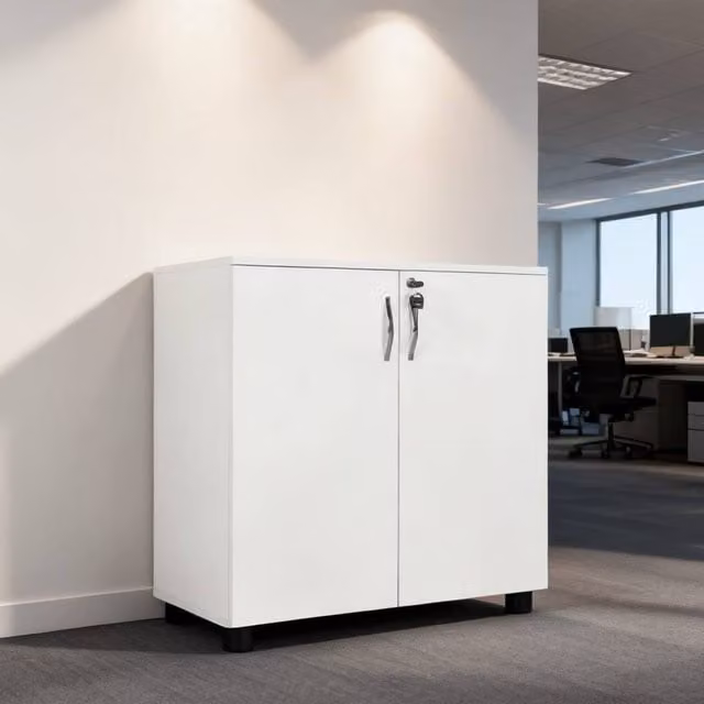 ERGOVEXA Modern Two-Tier Locking Office Storage Cabinet in White, W/D/H: 80 x 40 x 80 cm