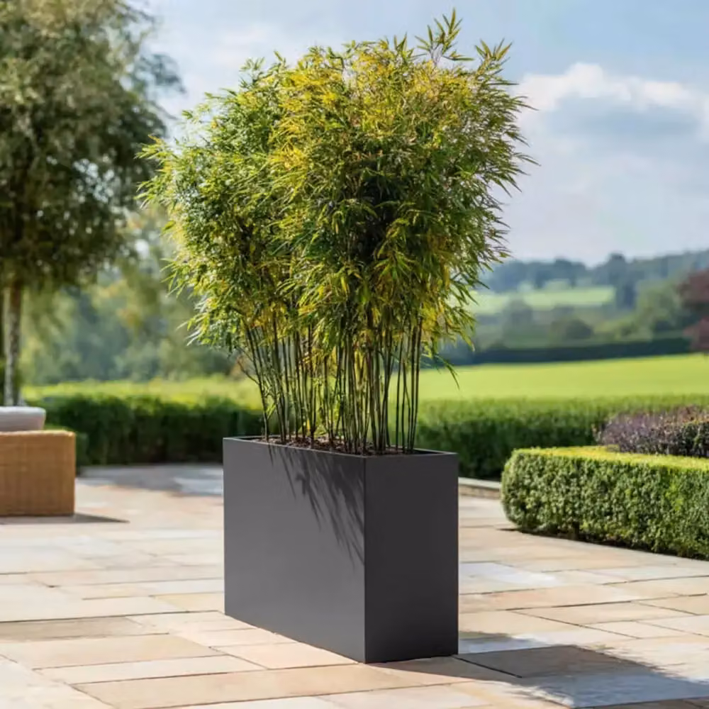 Access Garden Products Galvanised Steel Trough Planter, Grey, W: 25 cm, D: 80 cm, H: 60 cm – 13