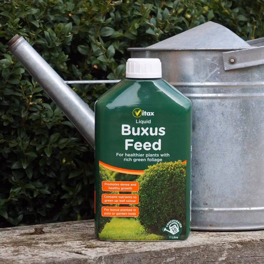 Vitax Liquid Buxus Feed Plant Tonic for Green Foliage, 1 l – 2