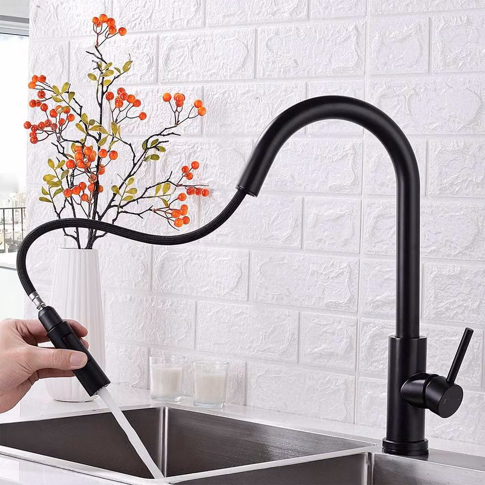 Hinsinc Black Stainless Steel Kitchen Faucet with Single Lever and Pull Out Swivel Spout – 4
