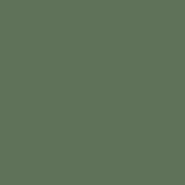 House of Hackney Sorrel Paint Pot, Green, 125ml