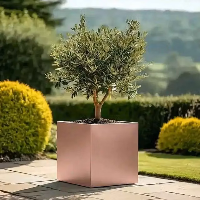 Access Garden Products Square Galvanised Steel Planter in Brushed Rose Gold Finish, 60 cm
