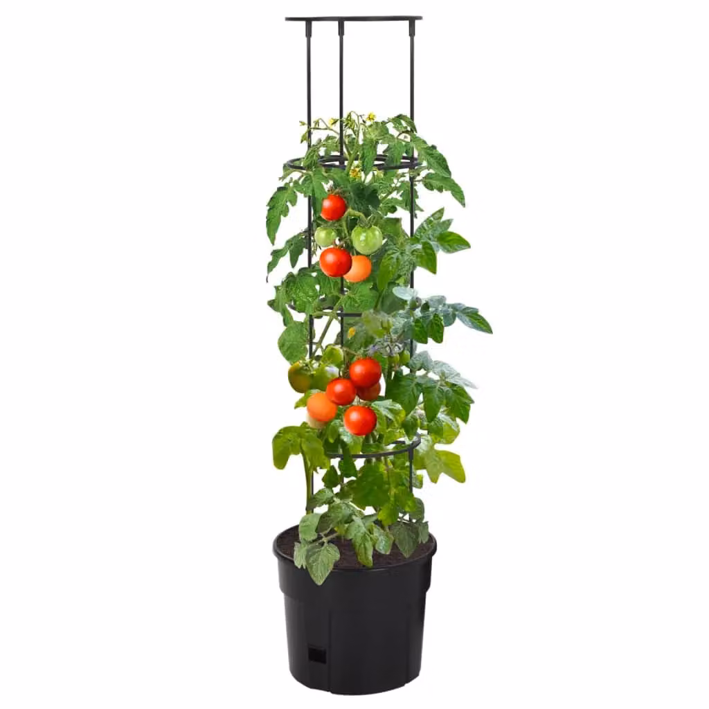 Berkfield Home Anthracite Tomato Grower Planter Tub in Black, W: 29.5 cm, H: 115 cm – 2