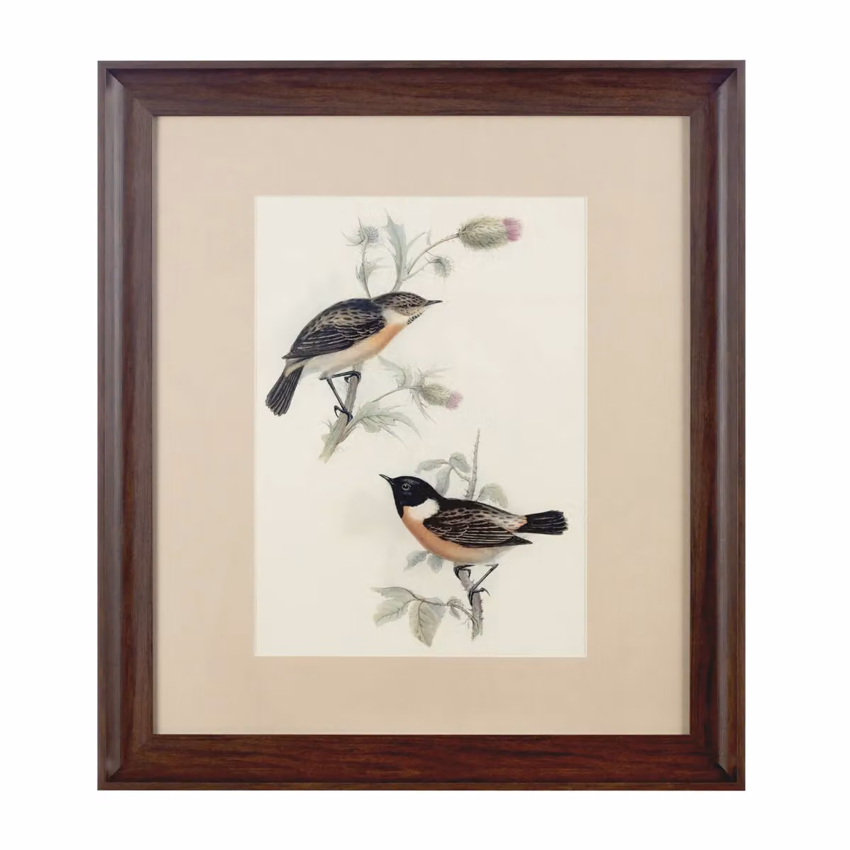 Orsina Framed Birds 2 Wall Art Illustration in Brown and Beige – 3