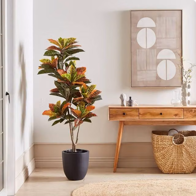 Wyld and Coco 140cm Faux Croton Plant in a Concrete Pot with Green and Black Leaves