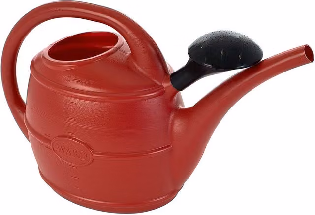 Ward Rose Watering Can in Red