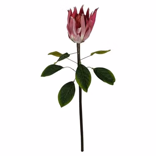 Leaf Pink Artificial Protea Sugarbush Flower Stem, 65 cm – 1
