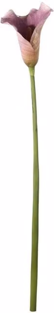 KDMD Botanica Large Purple Calla Lily, 2 Pack, Height: 82 cm