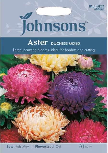 Johnsons Aster Duchess Mixed Ornamental Flower Seeds, Multicolour