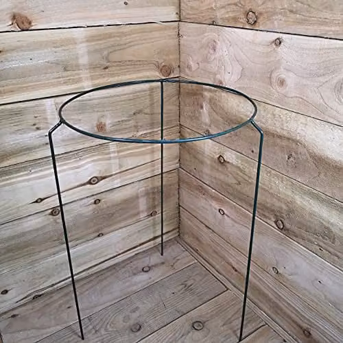 Tom Chambers Pack of 3 Urban Metal Herbaceous Garden Plant Support Rings in Green, W/D/H: 40 x 40 x 60 cm