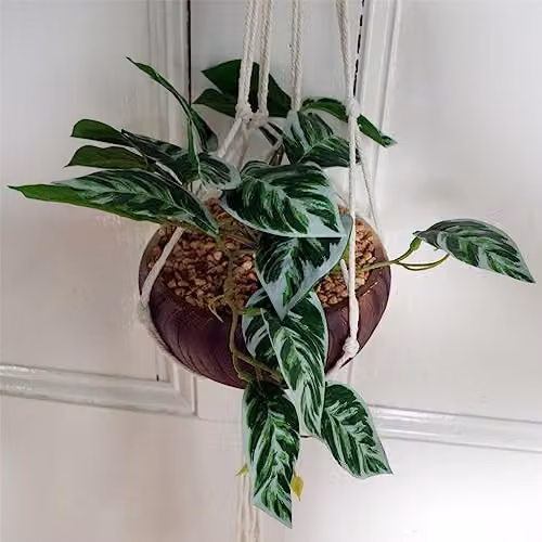 Botanik Premium Green Artificial Hanging Pothos Plant with Planter, Height: 85 cm – 1