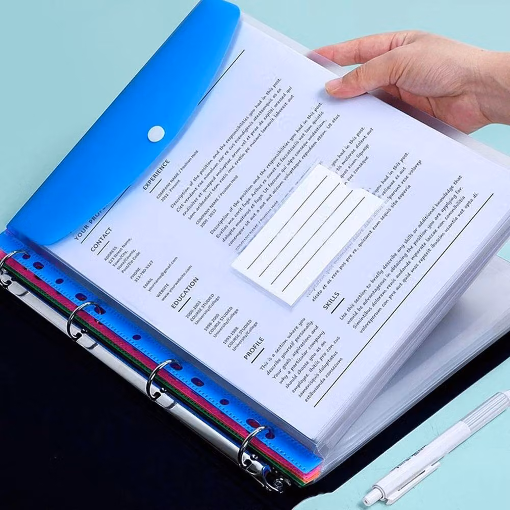 SPETLEK A4 Plastic Expandable Display Book with 12 Punched Pockets in Clear – 3