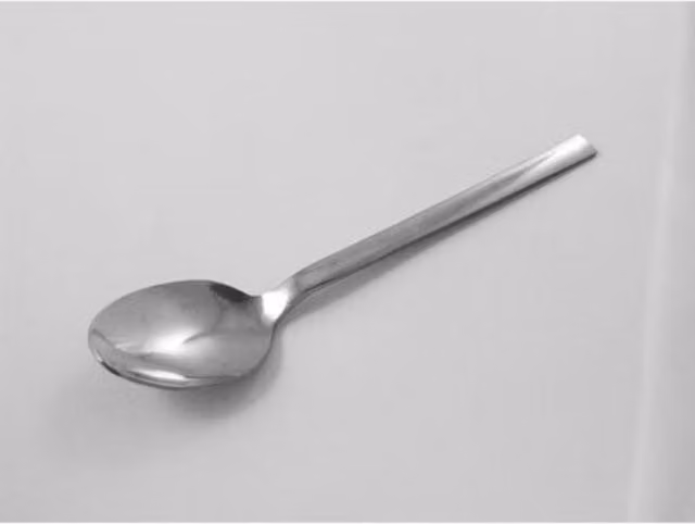 Orsina Kew Silver Polished Stainless Steel Adult Dinner Spoon
