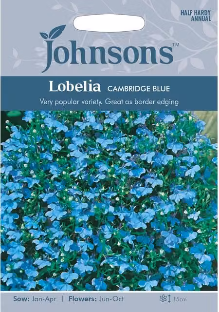Johnsons Lobelia Cambridge Blue Flower Seeds