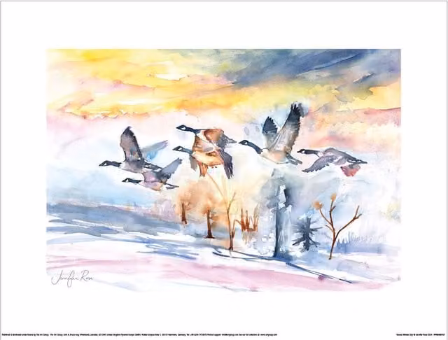 Jennifer Rose Geese Winter Sky Multicolour Paper Poster Illustration