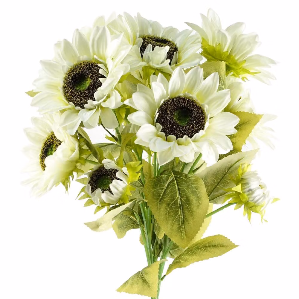 Leaf Pack of 6 White Artificial Sunflowers with 18 Heads, Height: 88 cm – 3