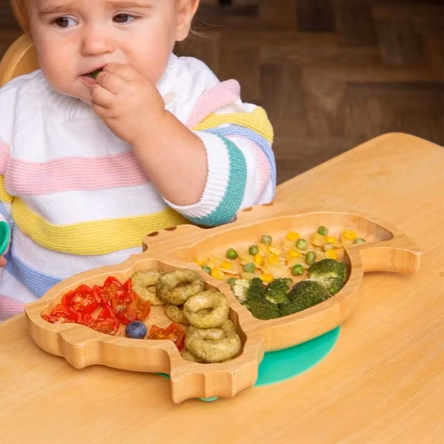 Tiny Dining Children's Bamboo Dinosaur Divided Suction Plate, Green, Diameter: 17 cm