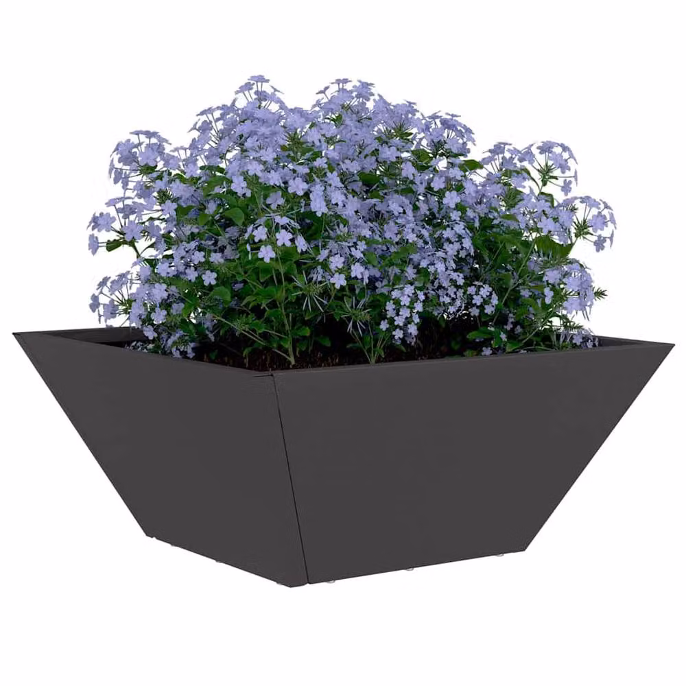 Berkfield Home Black Steel Garden Bowl Planter, W/D/H: 35 x 35 x 15 cm – 3