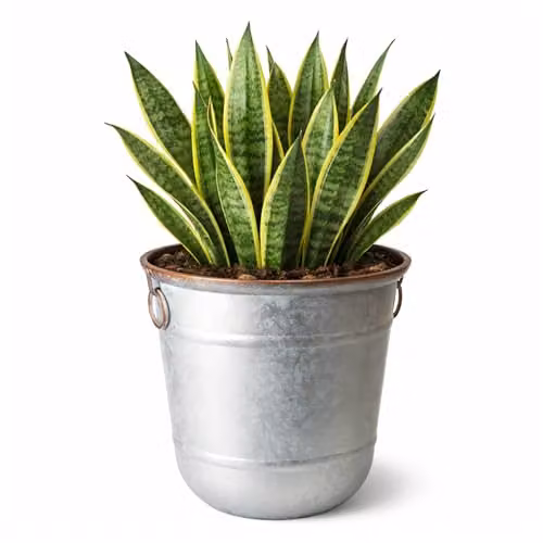 Jack Stonehouse JSH Silver Galvanised Steel and Copper Rim Effect 32L Bucket Planter made from Recycled Plastic – 1