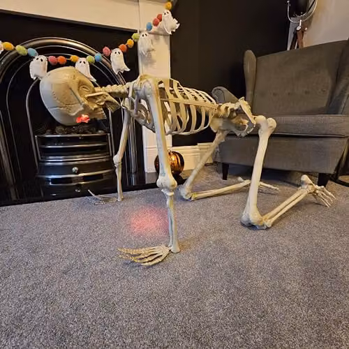 Samuel Alexander Pack of 4 White LED Skeleton Halloween Decorations with Movable Joints and LED Eyes, Height: 150 cm – 4