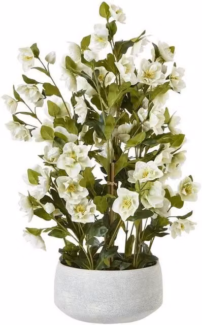 Lemon Pavilion Furniture and Decor Large Hellebore in Pot, Plastic, White/Grey, W: 52 cm, D: 52 cm, H: 85 cm