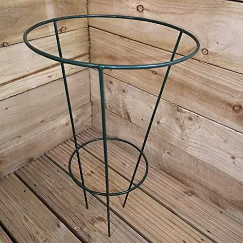 Samuel Alexander Pack of 3 Urban Green Conical Garden Plant Support Rings, Green, 30 cm – 1