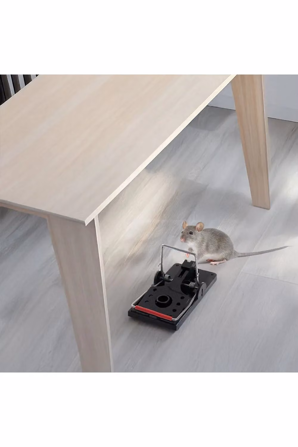 Living and Home Set of 4 Black Plastic Mouse Traps – 2